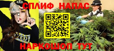 мдпв Краснознаменск